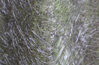 Darkley fibreglass roof work